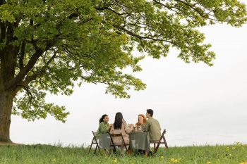 Immunsystem natürlich mit Sozialisieren stärken: eine Gruppe von jungen, lachenden Erwachsenen sitzt an einem Tisch im Freien unter einem großen Laubbaum