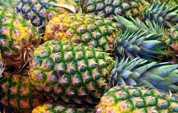 Lebensmittel gegen Entzündungen: Ananas. Zu sehen sind mehrere Ananasfrüchte