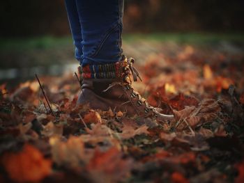 Spaziergang im Wald: Gehmeditation tut gut. Zu sehen sind Füße in Lederschuhen, die in buntem Laub stehen