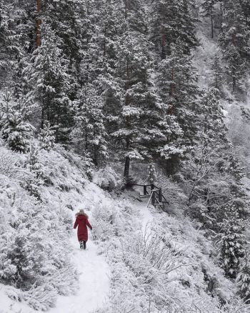 Mehr Ruhe im Alltag: Waldbaden. Zu sehen ist eine Person, die durch eine verschneite Waldlandschaft läuft.